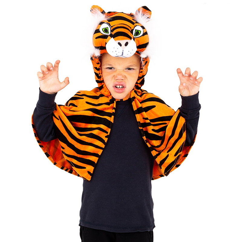 Tiger fancy sale dress kids